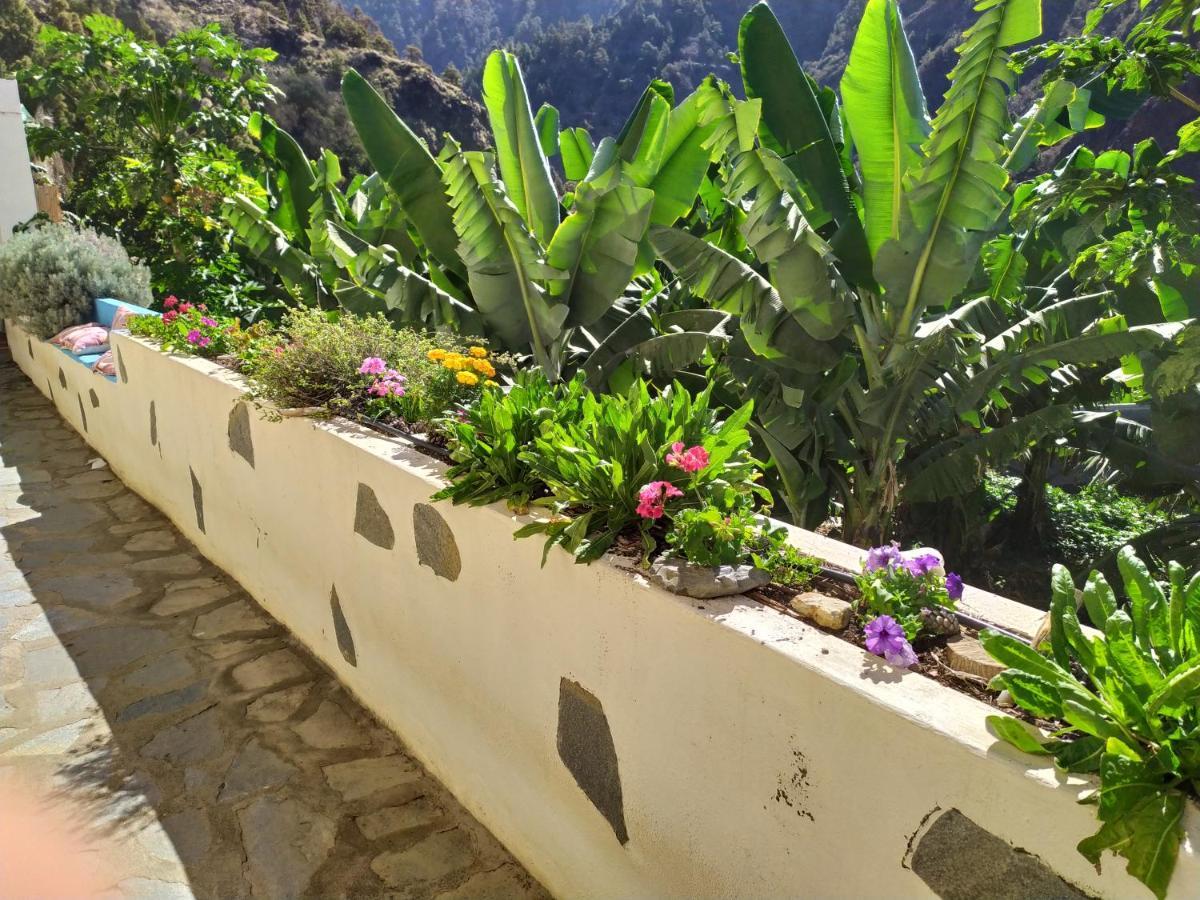 Rivendell Eco Lodge Ел Пасо Екстериор снимка